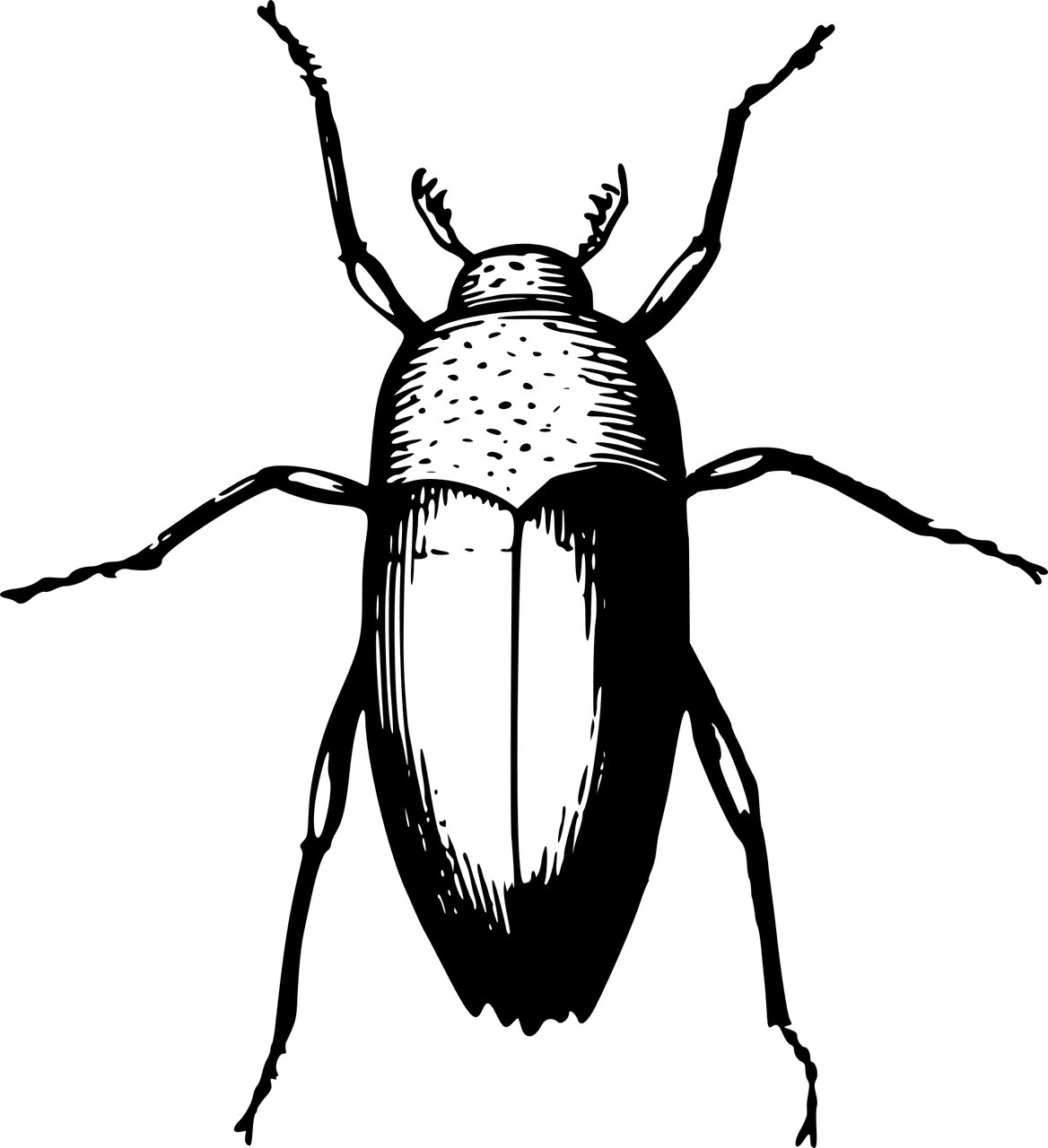 ג'וקים